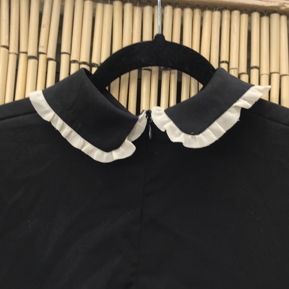 Peter Pan Collared Mini Dress With White Trim - Picture 6 of 7